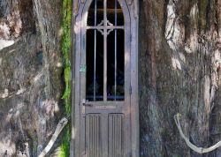 Kapelleneibe in La Haye-de-Routot-1, Normandie, Frankreich