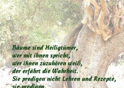 Hesse-Spruchkarte