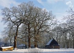Eichenhof in Eggestedt, Niedersachsen