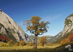 Großer Ahornboden bei Eng, Tirol, Österreich