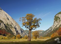 Großer Ahornboden bei Eng, Tirol, Österreich